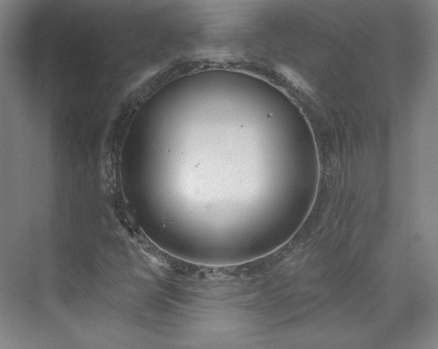 X0000073991398200609060945