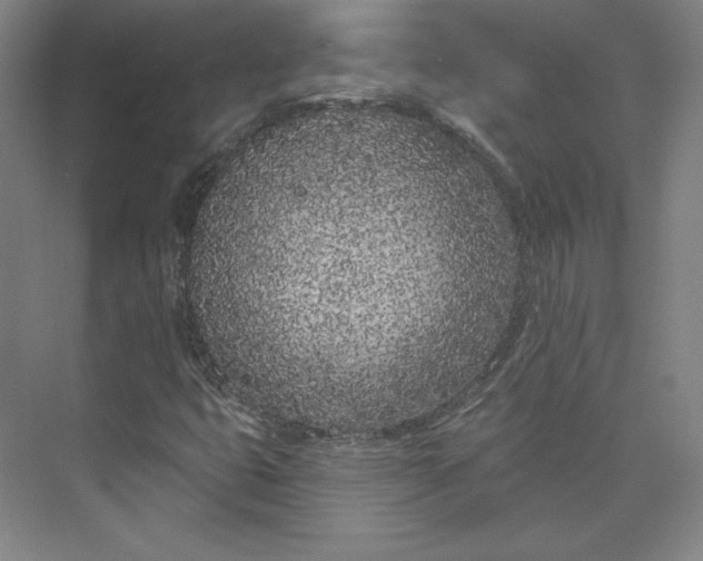 X0000073991399200609060945