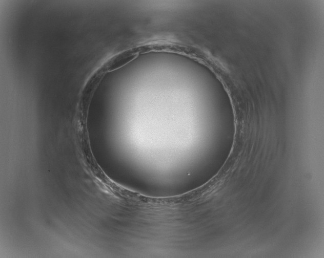 X0000073991400200609060945