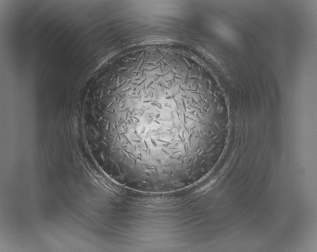 X0000073991401200609060945