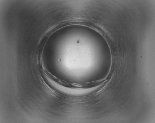 X0000073991402200609060945