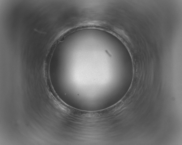 X0000073991404200609060946