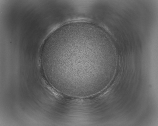 X0000073991405200609060946