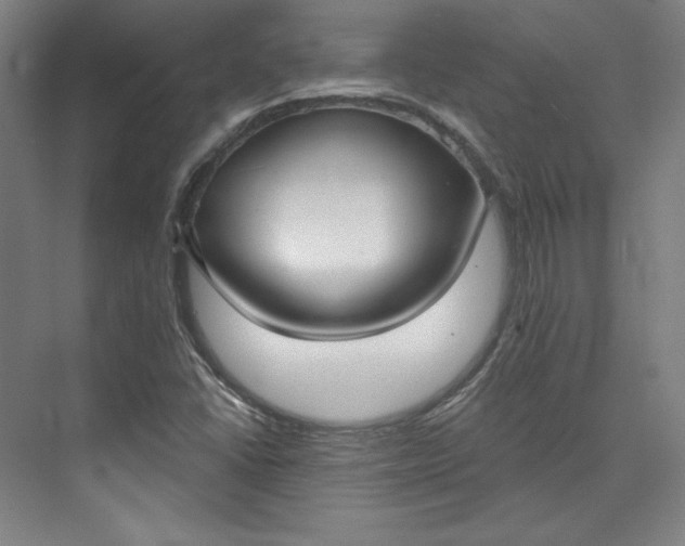 X0000073991406200609060946