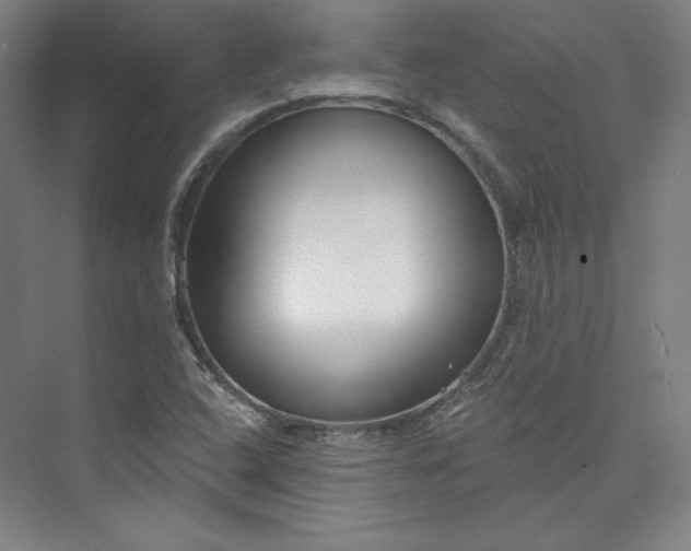 X0000073991408200609060946