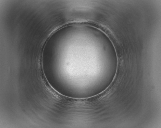 X0000073991409200609060946