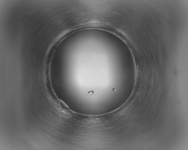 X0000073991410200609060946