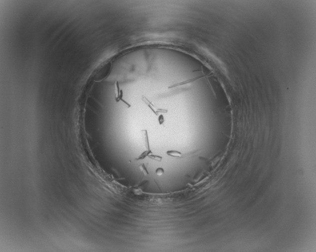 X0000073991411200609060946