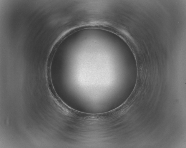 X0000073991412200609060946