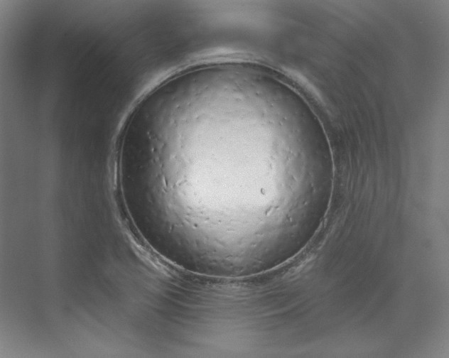 X0000073991413200609060946