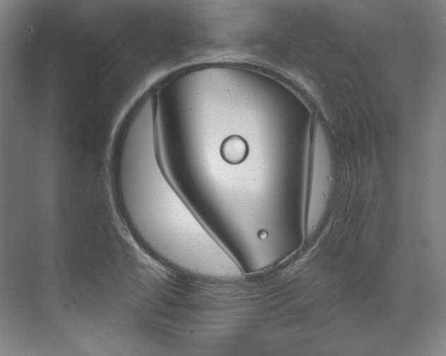 X0000073991414200609060946