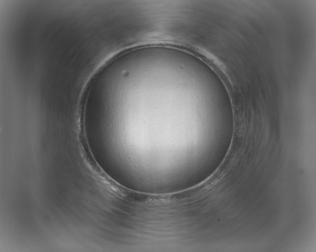 X0000073991415200609060946