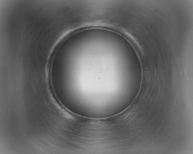 X0000073991416200609060946