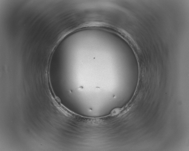 X0000073991417200609060946