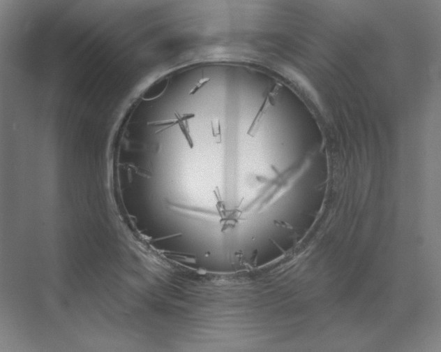 X0000073991419200609060946