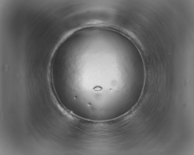 X0000073991421200609060946