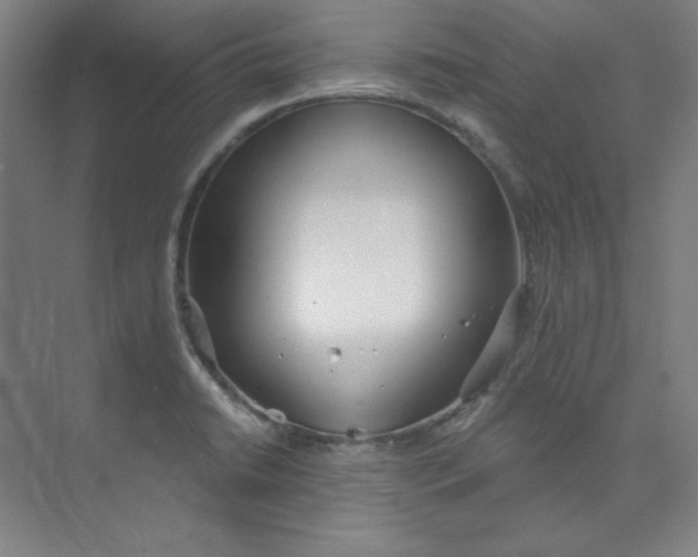 X0000073991422200609060946