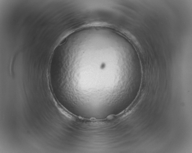 X0000073991425200609060946