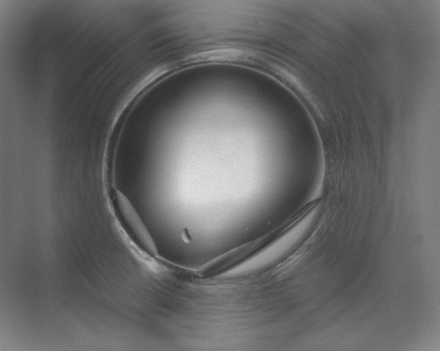 X0000073991426200609060946