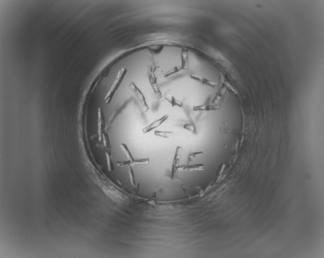 X0000073991427200609060946