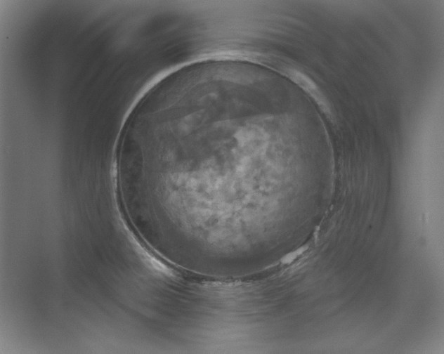 X0000073991428200609060946