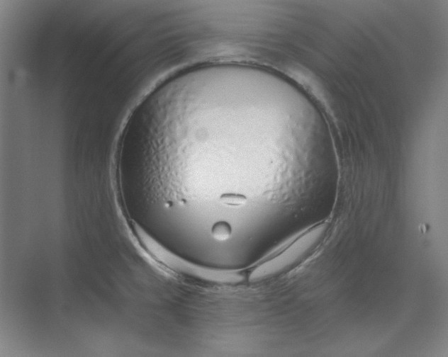 X0000073991429200609060946