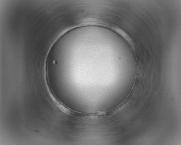 X0000073991431200609060946