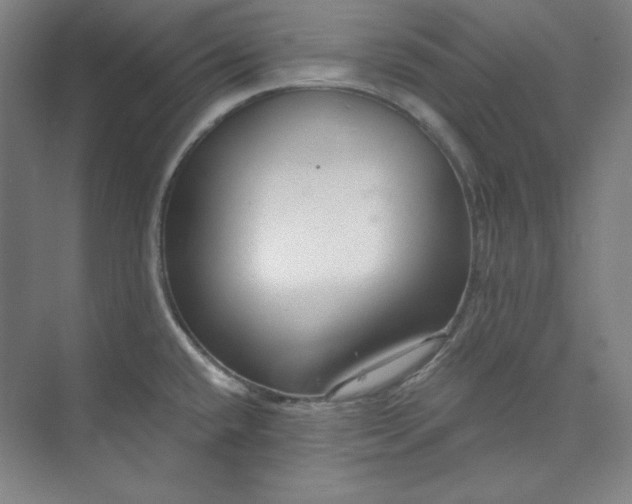 X0000073991432200609060946