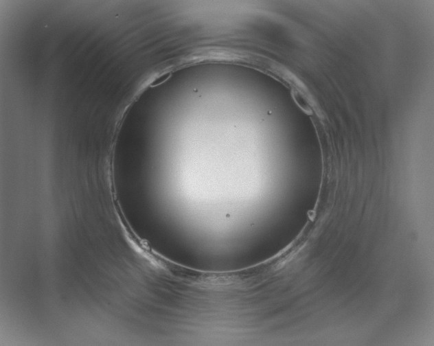 X0000073991433200609060946