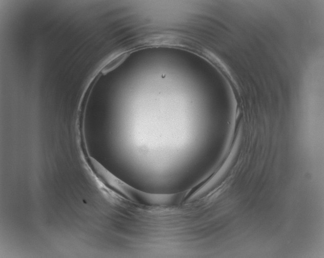 X0000073991434200609060946