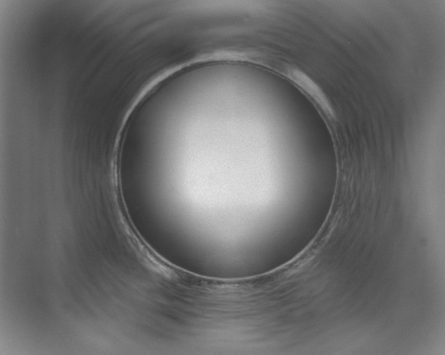 X0000073991436200609060946