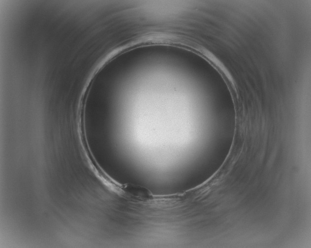 X0000073991437200609060946