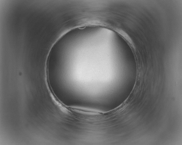 X0000073991439200609060946