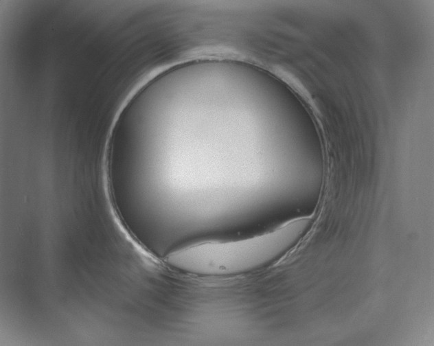 X0000073991440200609060946