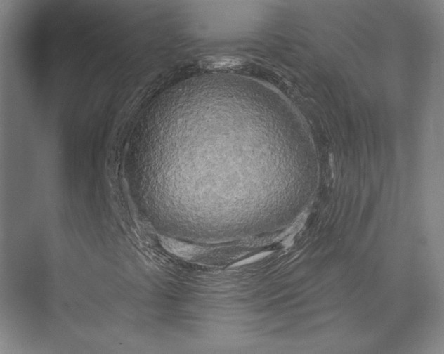 X0000073991441200609060945