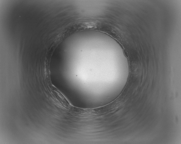 X0000073991442200609060945