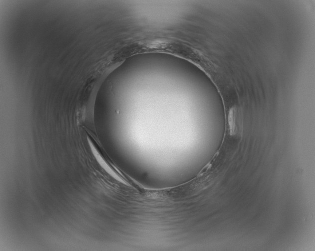 X0000073991443200609060945