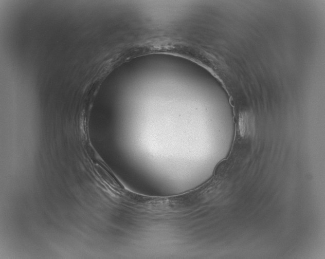 X0000073991444200609060945