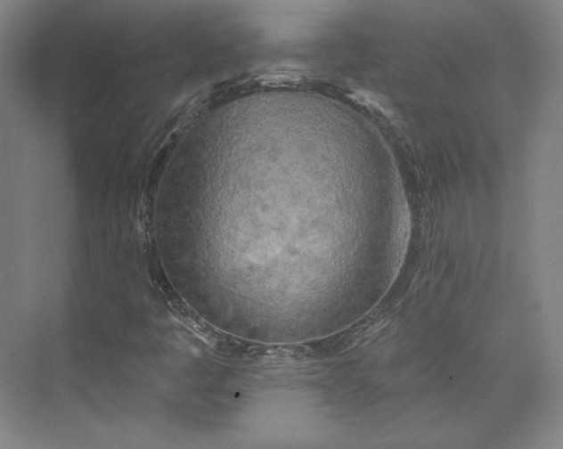 X0000073991445200609060945