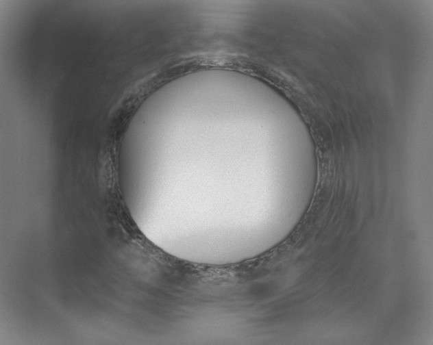 X0000073991446200609060945