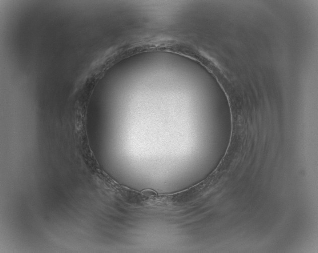 X0000073991447200609060945