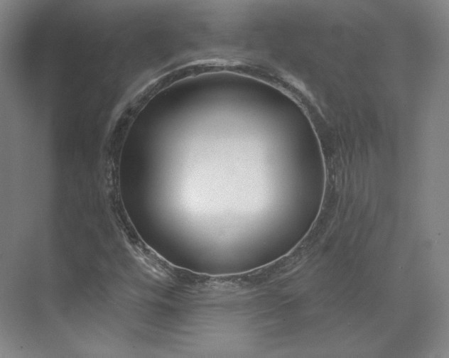 X0000073991448200609060945