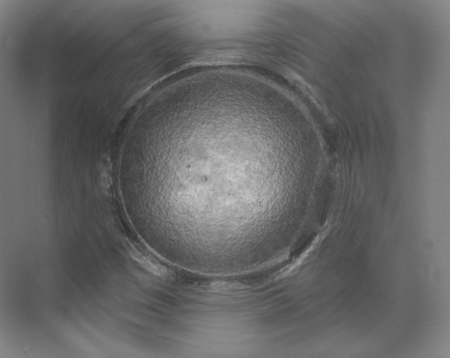 X0000073991449200609060945