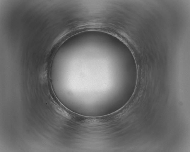 X0000073991450200609060945