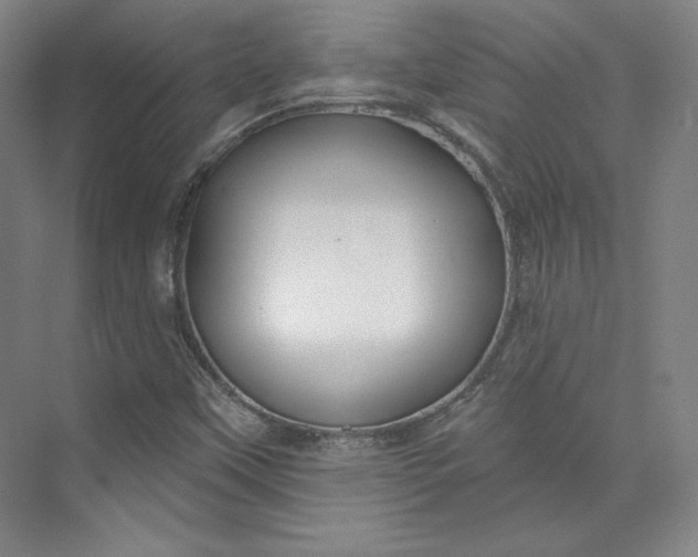 X0000073991451200609060945