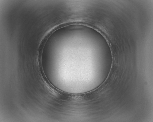 X0000073991452200609060945