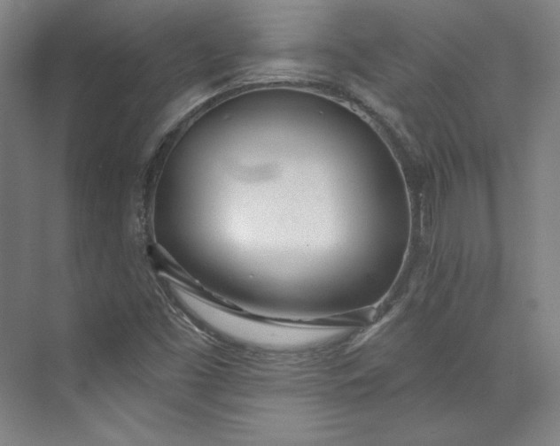 X0000073991453200609060945