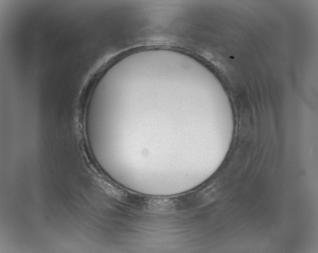 X0000073991454200609060945