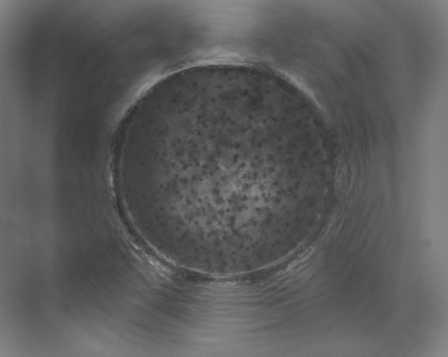 X0000073991455200609060945