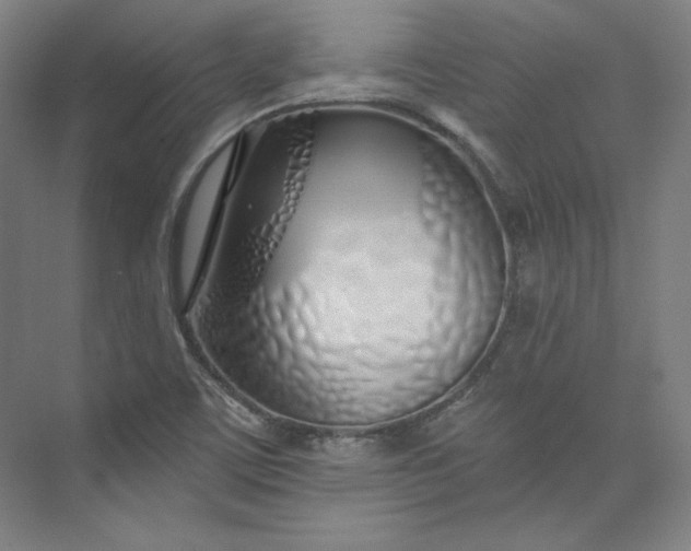 X0000073991459200609060945